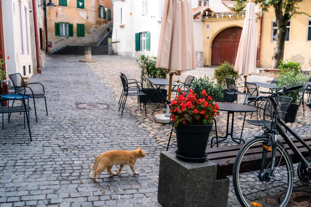 Charming Studio Ideal For Getaways Or Workations In Sibiu'S Medieval City Center Esterno foto